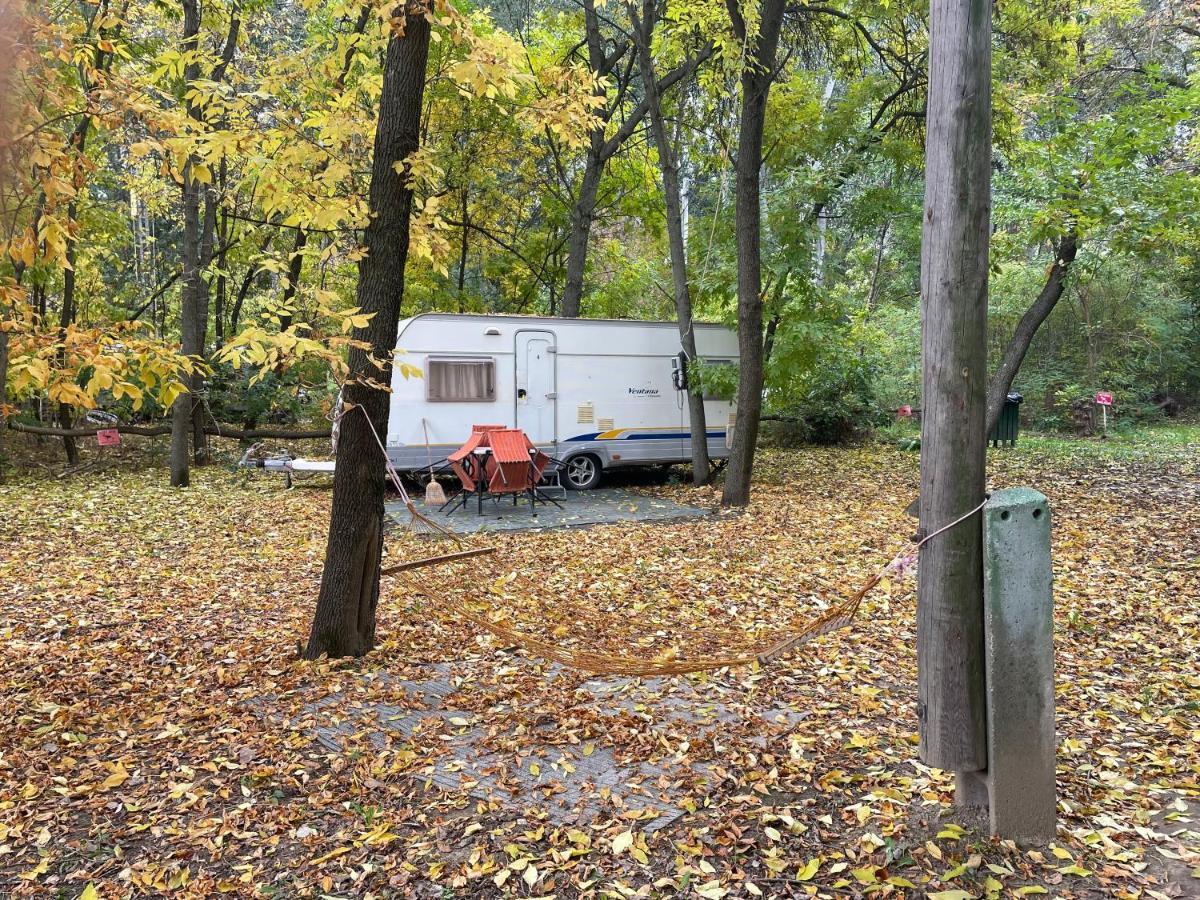 Tisza Beach Wild Camping 2 Otel Segedin Dış mekan fotoğraf